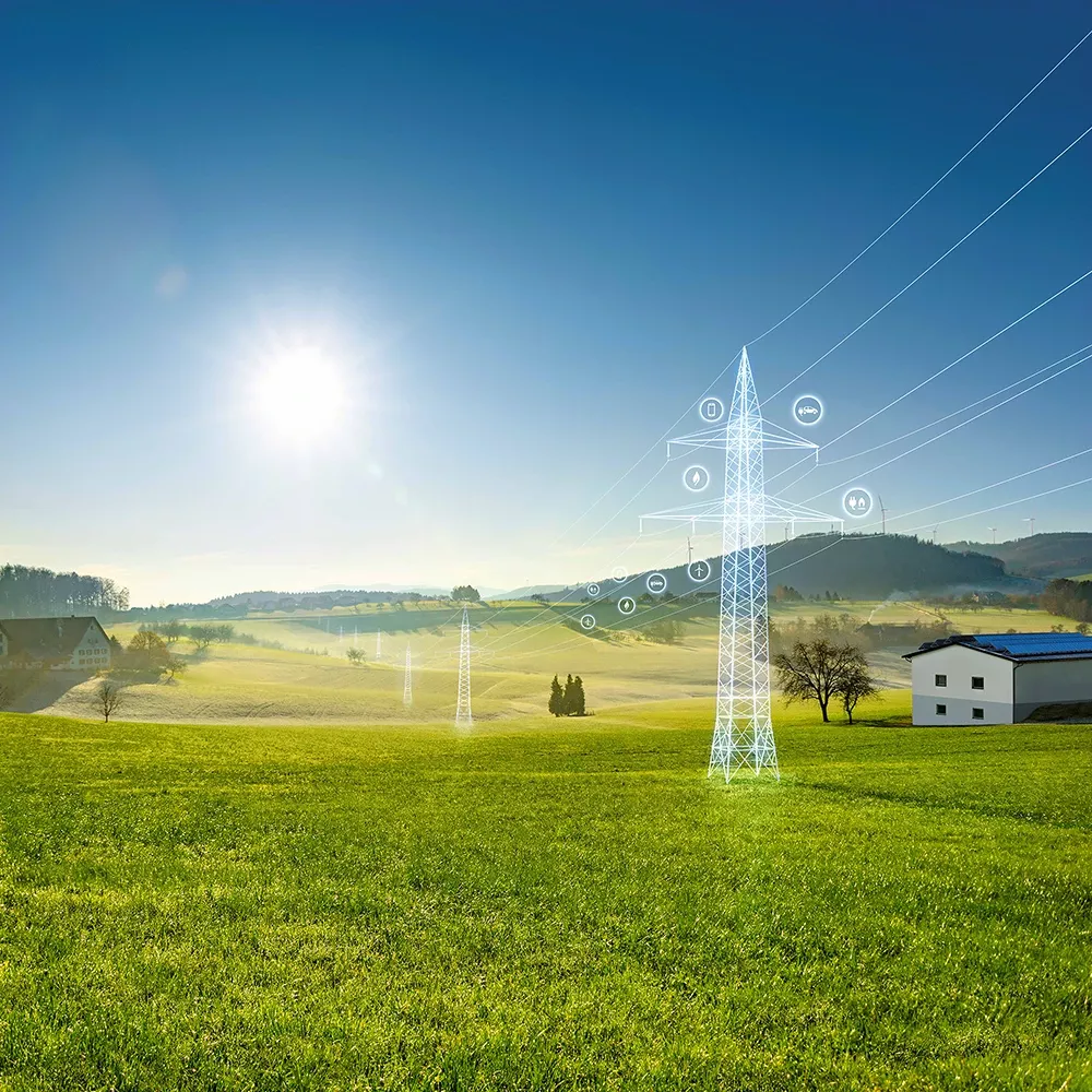 DEHN reference Nets BW